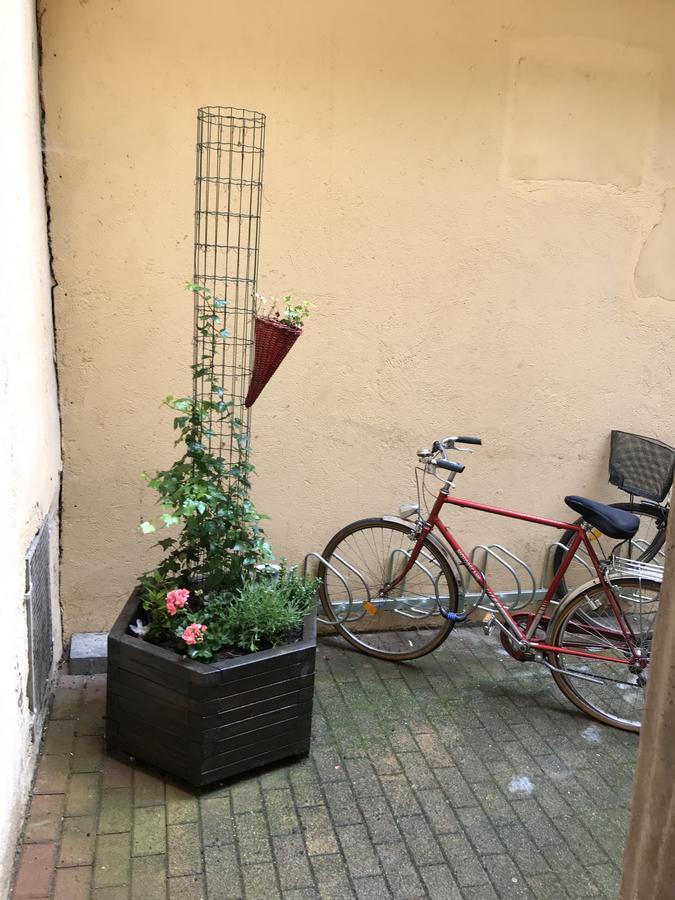 La Cour Des Cordonniers, Centre Cathedrale Petite France Leilighet Strasbourg Eksteriør bilde